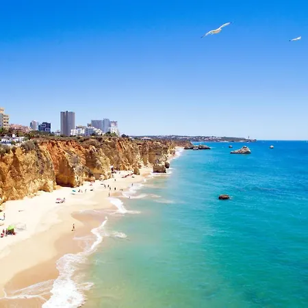 Mcrame Design Sea View, Beachfront, Swimming Pool, 2bdr, 2bar, 6 Pax, Da Rocha